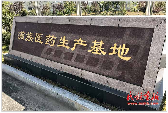 滿(mǎn)族醫(yī)藥崛起 帶動(dòng)農(nóng)民增收